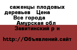 саженцы плодовых деревьев › Цена ­ 6 080 - Все города  »    . Амурская обл.,Завитинский р-н